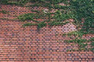 店舗に出かけずに探せる別府の賃貸物件